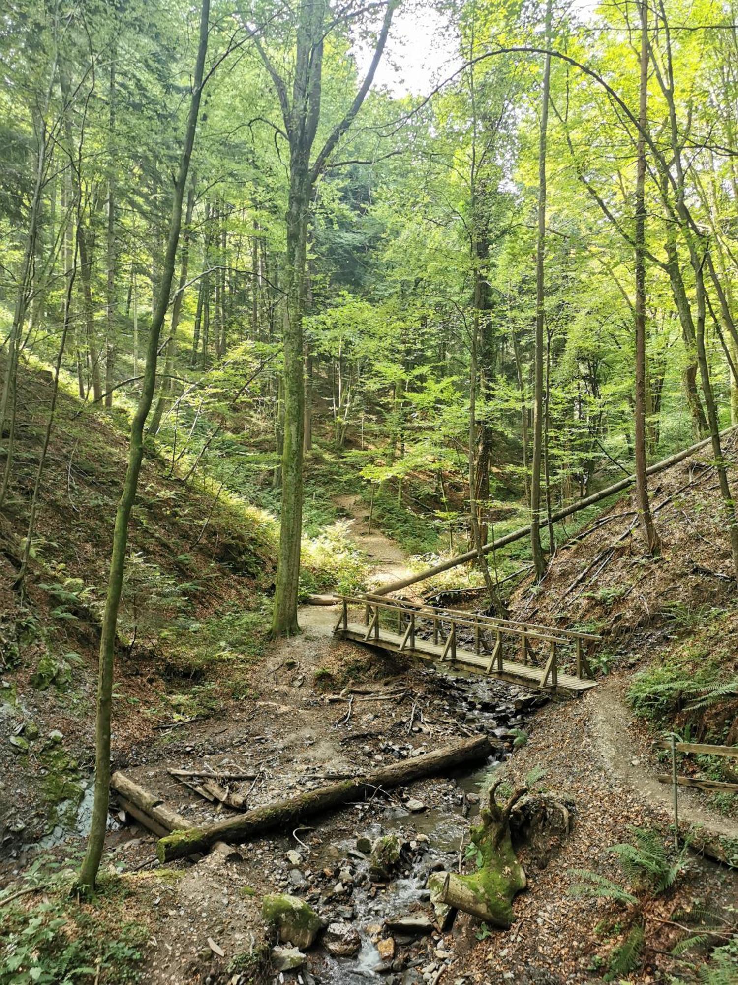 Traumhaftes Ferienhaus Am Lateinberg - 8455 Eibiswald Suedsteiermark Dış mekan fotoğraf