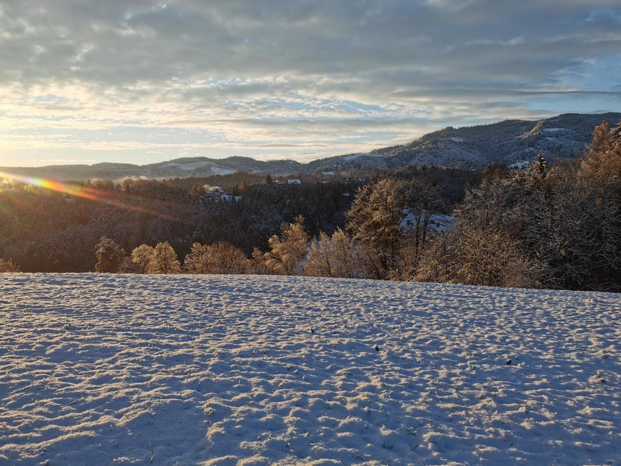 Traumhaftes Ferienhaus Am Lateinberg - 8455 Eibiswald Suedsteiermark Dış mekan fotoğraf