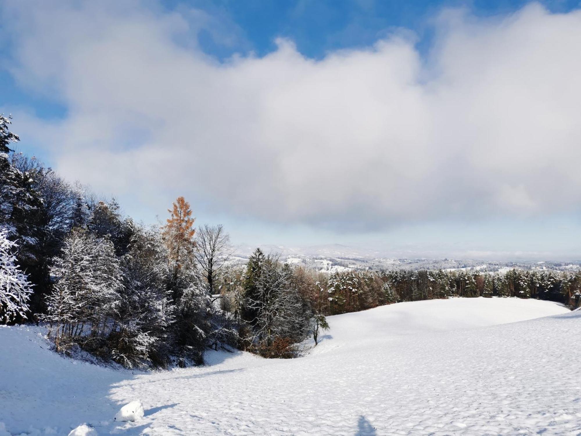 Traumhaftes Ferienhaus Am Lateinberg - 8455 Eibiswald Suedsteiermark Dış mekan fotoğraf