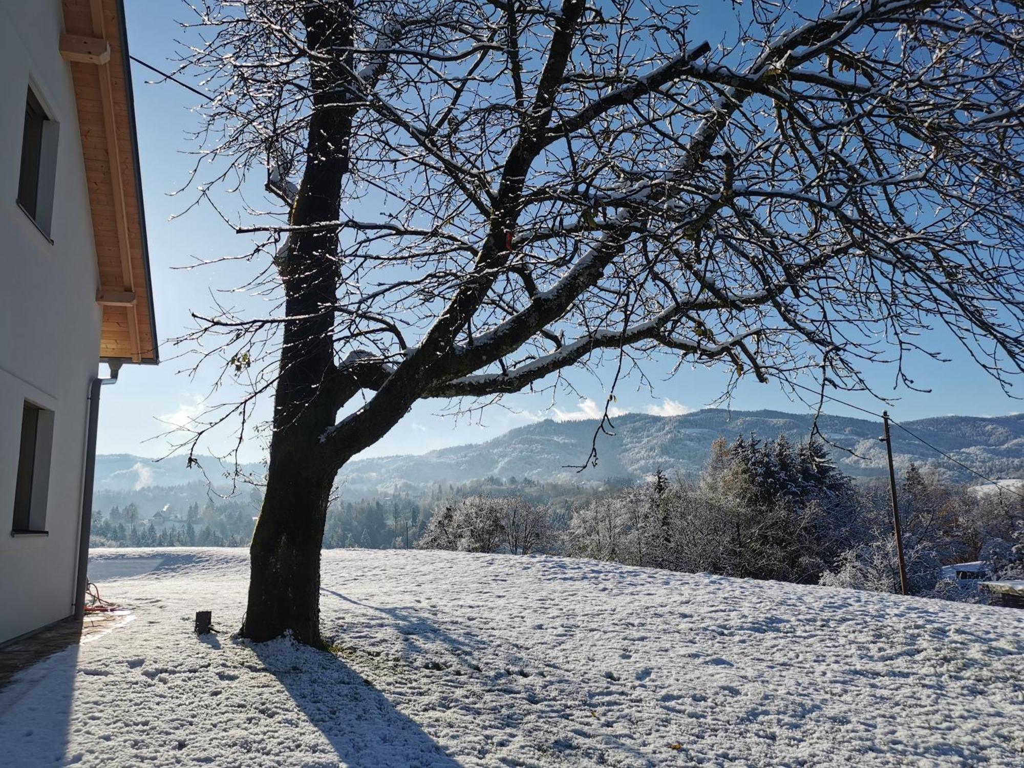 Traumhaftes Ferienhaus Am Lateinberg - 8455 Eibiswald Suedsteiermark Dış mekan fotoğraf