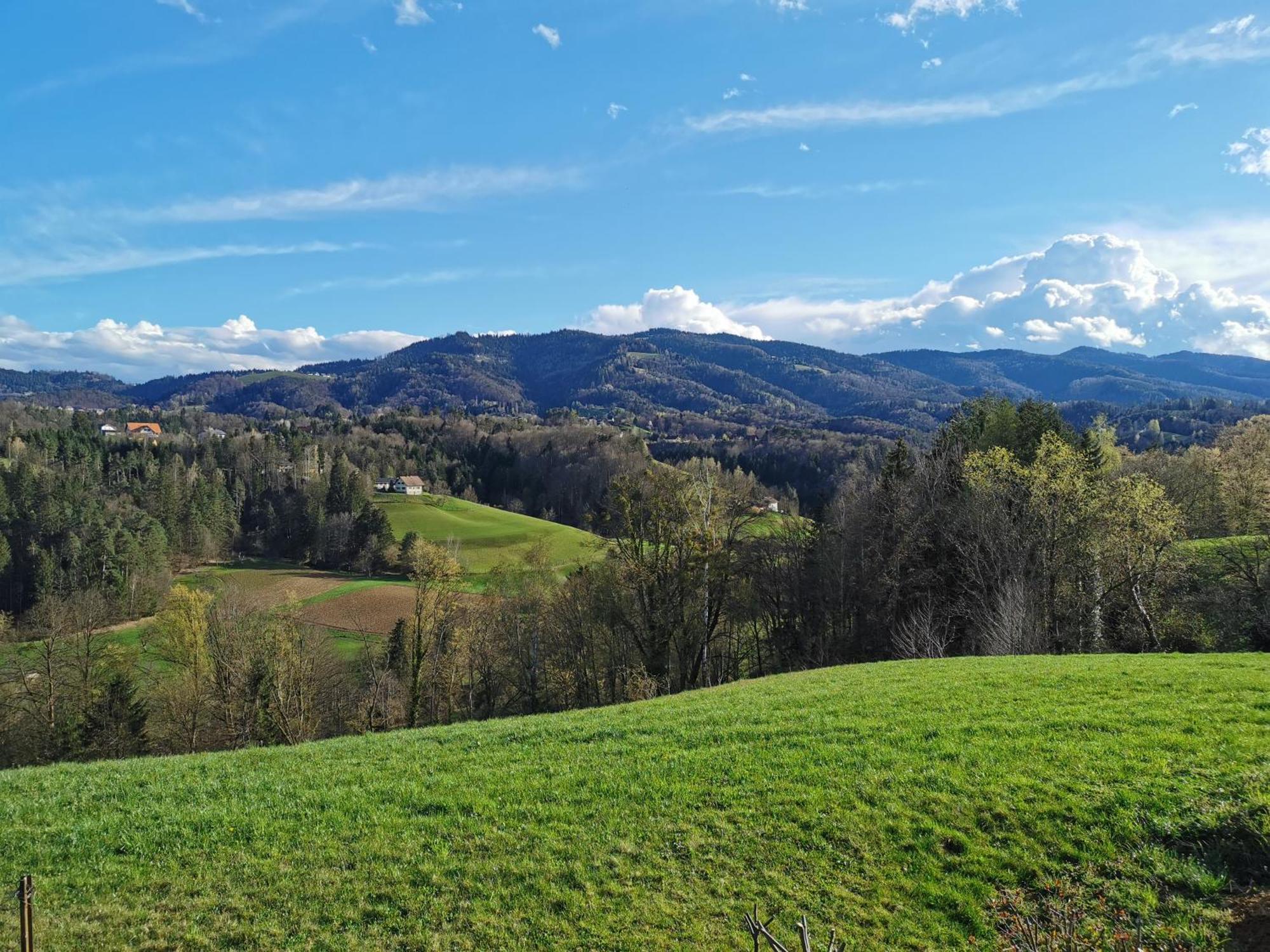 Traumhaftes Ferienhaus Am Lateinberg - 8455 Eibiswald Suedsteiermark Dış mekan fotoğraf